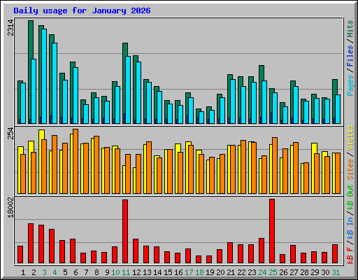 Daily usage for January 2026