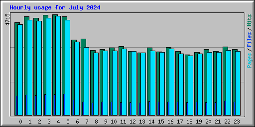 Hourly usage for July 2024