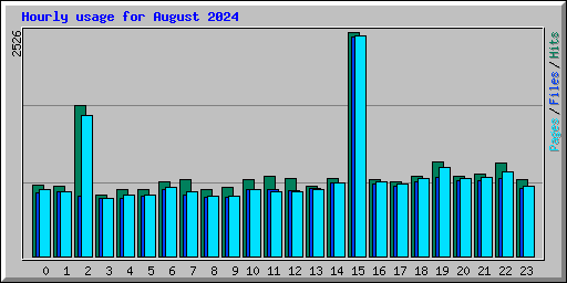 Hourly usage for August 2024