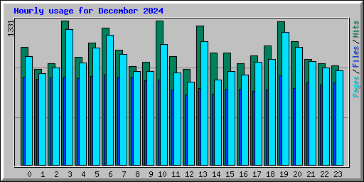 Hourly usage for December 2024