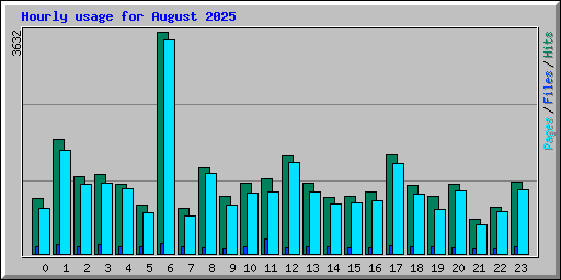 Hourly usage for August 2025