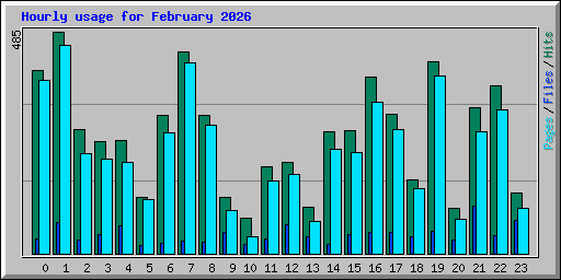 Hourly usage for February 2026