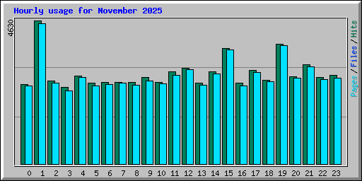 Hourly usage for November 2025
