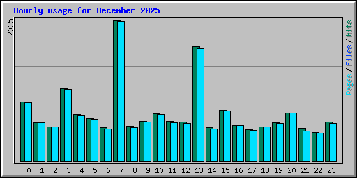 Hourly usage for December 2025