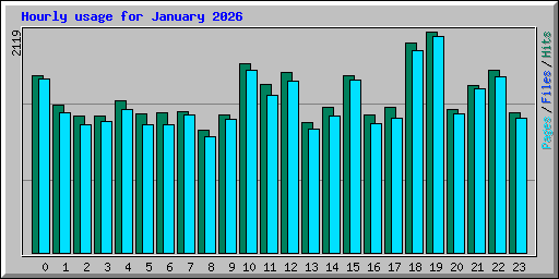 Hourly usage for January 2026
