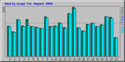 Hourly usage for August 2026